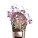 Hemway Peach Pink Iridescent Mix Glitter Chunky Multi Purpose Dust Powder Arts & Crafts Wine Glass Decoration Weddings Flowers Cosmetic Face Eye Body Nails Skin Hair Festival 100g