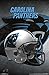 Trends International Carolina Panthers Helmet Wall Poster 22.375