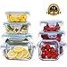 AILTEC 1 8979 18 Piece Food Storage Lunch Airtight Locking Lids, Glass Meal Prep Containers BPA-Free, for Home Kitche, Clear