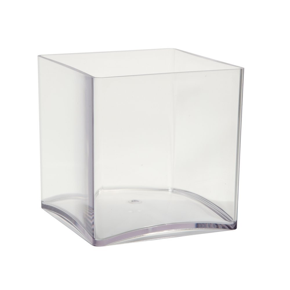 OASIS® clear acrylic cube vase (15cm) (2 Pack, Clear)