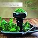 Hydro Herbal 5 Mix Apple, Strawberry, Mango, Watermelon and Pineapple, Hookah Shisha Tobacco-free Molasses, 250 gram