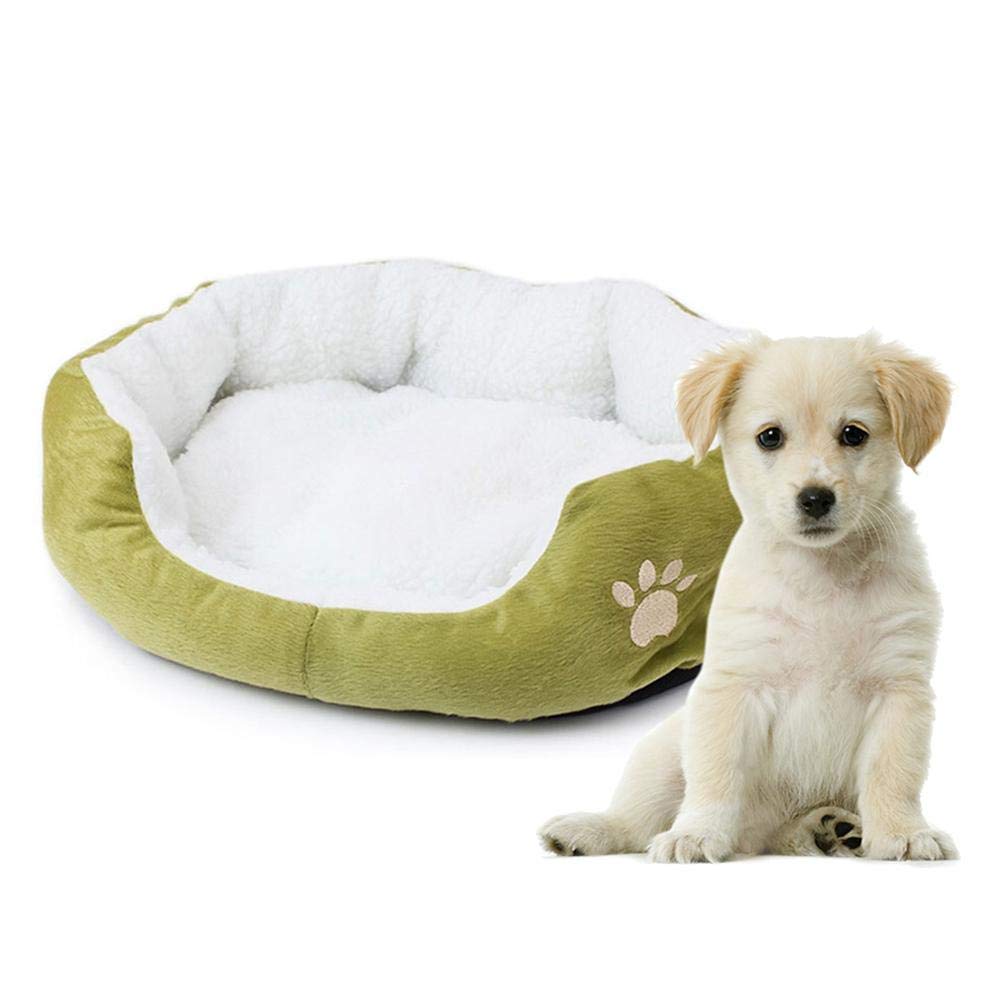 clearance dog beds large