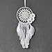 Dremisland Dream Catcher Vintage Handmade Traditional Indian Style Dream Catcher with Brown Feather Wall Hanging Home Decoration Ornament