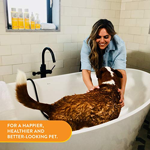 SKOUT'S HONOR Probiotic Pet Shampoo & Conditioner (2-in-1) - 1 Gallon