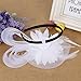 Women's Fascinators Hat Small Hairpin Feather Mesh Flower Hairclip (Z White)