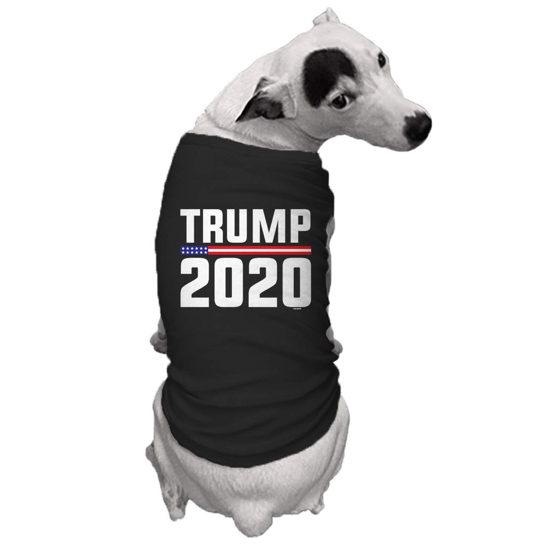 Haase Unlimited Trump 2020 Dog Shirt Red Medium Pet Supplies Cjp Org In
