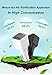 Anion Car Charger Valentines Day Gift, ZONV 3.1A Three USB Output Car Adapter with Car Fresh Air Ionic Purifier Oxygen Bar Ozone Ionizer for iPhone 7, Samsung,LG, Android Smartphone,Tablet and More