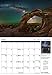 Starry Nights 2018 Astronomy Wall Calendar (13.5