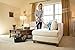 Electrolux EL4021A Silent Performer Bagless Canister Vacuum with 3-in-1 Crevice Tool and HEPA Filter , Black
