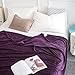 Qbedding Inc. Luxury Collection Microplush Flannel Fleece Blanket | Ultra Soft 380 GSM Lightweight All-Season Anti-Static Throw/Blanket for Sofa Couch Bed (Queen (78-Inch-by-90-Inch), Purple)