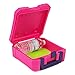 Delicious Agent Insulated Lunch Box with Snap in Ice Pack, Dishwasher Safe Pink