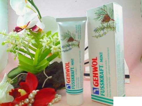 Foot Vigour Mint by Gehwol