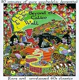 Beyond the Calico Wall