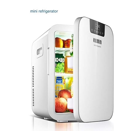 Amazon.es: WYJW Mini Nevera 20L Dual-Core Mute Pantalla Digital ...