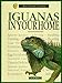 Iguanas in Your Home: A Complete and Up-To-Date Guide (Basic Domestic Pet Library) by