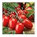 Organic Roma Tomato Seeds, 300+ Premium Heirloom Seeds!, 1 Selling Tomato Hot Pick & ON SALE!, (Isla's Garden Seeds), Non Gmo Organic, 85% Germination, Highest Quality Seeds, 100% Pure primary