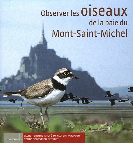 Observer les oiseaux de la baie du Mont-Saint-Michel