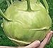 Rare Cabbage Kohlrabi Gigant-Giant Organic Russian Heirloom Vegetable Seed