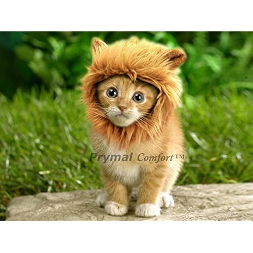 Pet Supplies, Dogs, Apparel & Accessories, Costumes