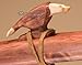 Native American Flute Pack -Brown Eagle