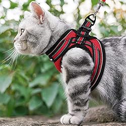rabbitgoo Cat Harness and Leash Set for Walking