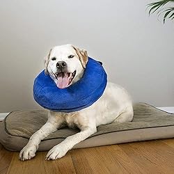 KONG - Cloud Collar - Plush, Inflatable E-Collar