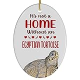 Egyptian Tortoise Christmas Ornament 2025 - Its Not