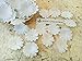 NAVA CHIANGMAI 100 White Mulberry Daisy Paper Flowers Scrapbooking Embellishment