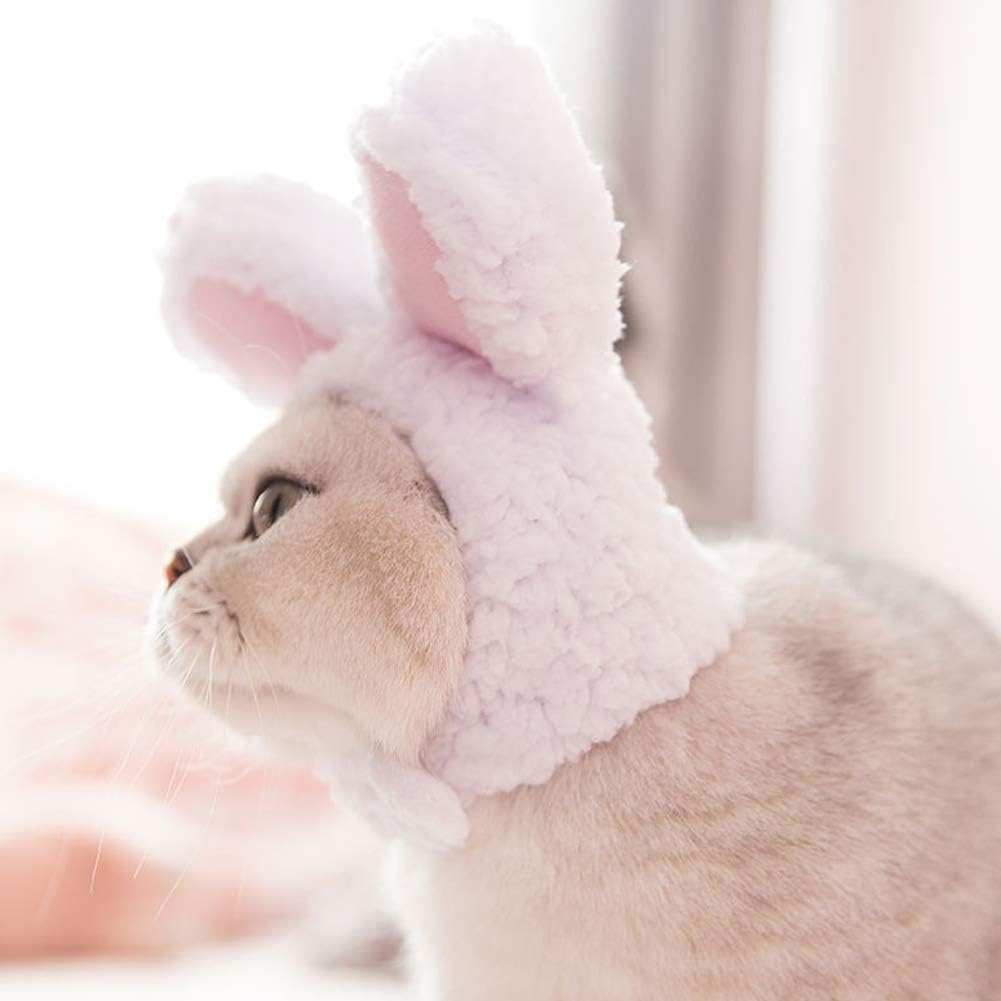 Bekleidung Zubehor Verkleidungen Kostume Hut Niedlicher Hasenohr Party Zubehor Fur Katzen Und Hunde Xiaoqi Haustier Kopfbedeckung Hut Kostum Hasenkostum Sumicorp Com