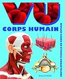 Corps humain by