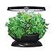 AeroGarden 7 LED Indoor Garden with Gourmet Herb Seed Pod Kit