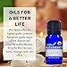 Organic, Lemon Essential Oil - 100% Pure Premium, USDA Organic, Natural Therapeutic Grade, baby-oils, hair-treatment-oils, body-oils, facial-oils, scented-oils (10 ml)