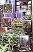 Marijuana Outdoors : Guerilla Growing