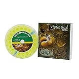 SF Weight Forward Floating Line Fly Line Welded Loop Fluro Yellow 100FT WF10F