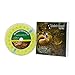SF Fly Fishing Weight Forward Floating Line Fluro Yellow 100FT WF10F