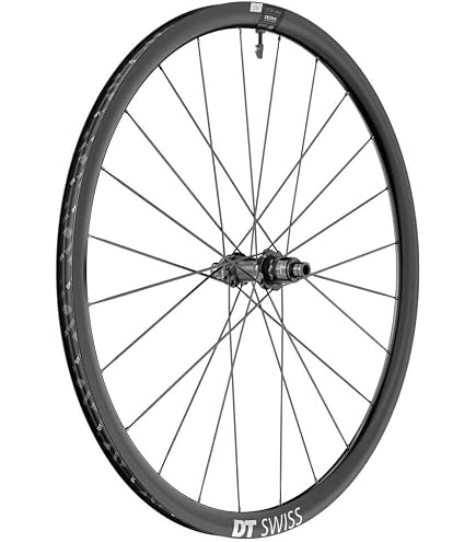 Amazon.com : DT Swiss 350/XM421 Front Wheel | bike-wheels : Sports