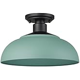 Golden Lighting Levitt 1-Light Outdoor Semi-Flush in Natural Black with Natural Teal