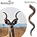 HalleluYAH Yemenite kudu Shofar From Israel Plus Free Bonus Ram Horn