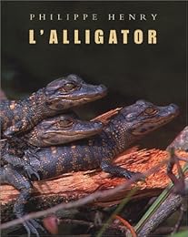 L' alligator