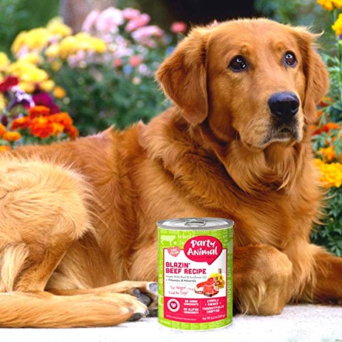 Party Animal Blazin' Beef Recipe Canned Dog Food 13 oz/12 case