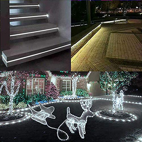 100 Feet 720 LED Rope Lights,2Wire Low Voltage Waterproof Rope Lights