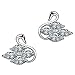Jewelry Swan Stud Earrings for Teen Girls 18k White Gold Plated Hypoallergetic Cubic Zirconia Stud Earrings Crystal Tiny Diamond Stud Earrings KY007