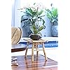 Bamboo Side Table - Stool - Plant Stand - Accent Table - Indoor/Outdoor Use