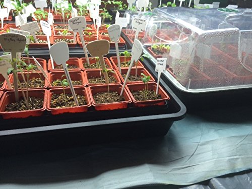 3 EarlyGrow+70738+Medium+Domed+Propagator