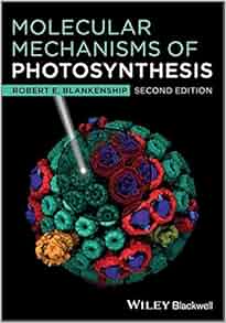 Amazon Com Molecular Mechanisms Of Photosynthesis