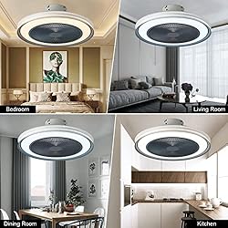 EIHIWD 20in Ceiling Fan with Lights Remote Control