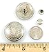 Dangerous Threads Conchos Rope Edge Rivet Back 1