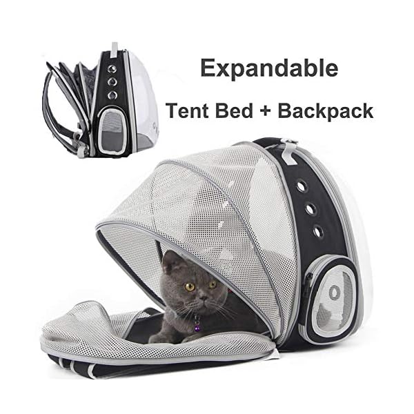 space bubble cat backpack
