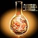 L'Oréal Paris Hair Expert Extraordinary Oil Curls Re-Nourish Mask, 8.5 fl. oz. (Packaging May Vary)