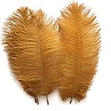 Shekyeon Gold 10-12inch 25-30cm Ostrich Feather Home Decoration DIY Craft Pack of 10